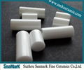 zirconia pump ceramic rod 4