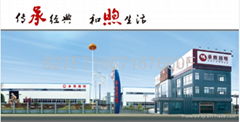 Chengxu Electric group 