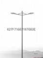 traditional  duble arms street lamp