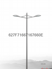 traditional  duble arms street lamp 