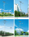 solar street lamp 1