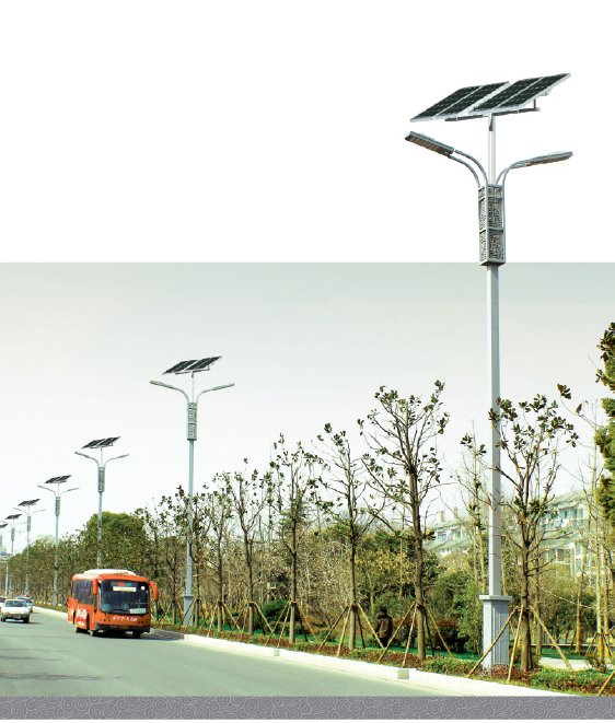 solar street lamp 2