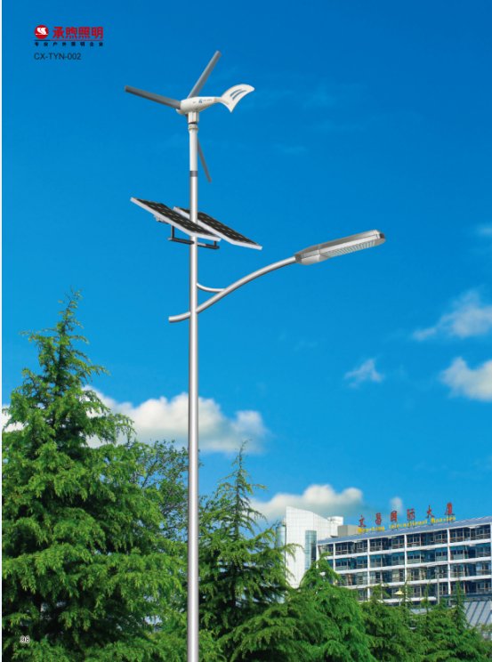 wind and solar street lamp
