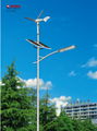 wind and solar street lamp