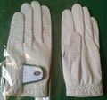 Glof gloves
