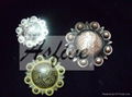 Conchos, berry conchos