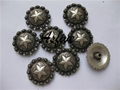 star berry conchos