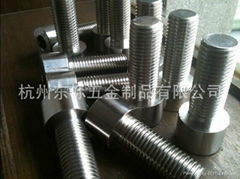 Hot Forging Fasteners