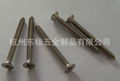 Cross recessed countersunk head tapping screws 1