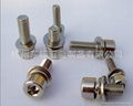 Hexagon Socket Cap Screws , Assemblies