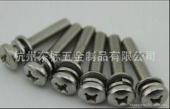 Cross Recessed Pan Head Screw, Assemblies