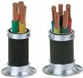 up to 35kV multicores XLPE Insulated armoured Power Cable 1