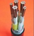 up to 35kV multicores XLPE Insulated armoured Power Cable 2