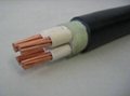 XLPE Insulated and PVC Sheathed Low Voltage Power Cables 1
