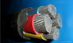 Aluminium Wire Armored XLPE Power Cable