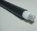 Copper or Aluminum conductor PVC Insulated Power Cable