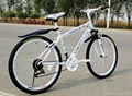 low-carbon   Recycle MTB BIKE 1