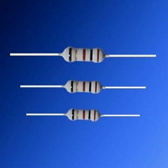 FKN fusible resistor