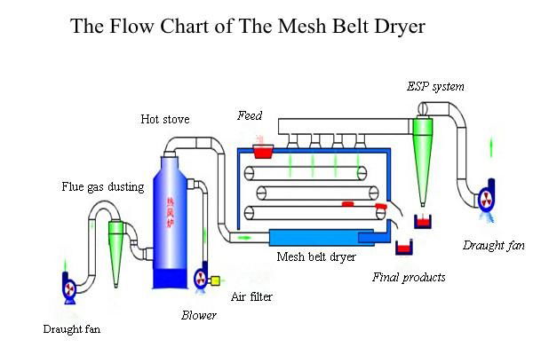  mesh belt dryer 2