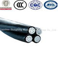 ABC Overhead Insulated Cable 1