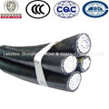 ABC Overhead Insulated Cable 2