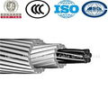 ACSR cable Aluminium Conductor steel