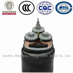 XLPE Insulated Electric Power Cable (CU/XLPE/PVC)