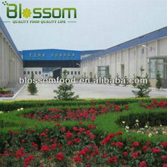 Qingdao blossom food co., ltd 