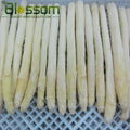 IQF frozen asparagus