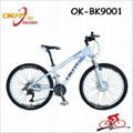 Motachie aluminum bicycle alloy bike