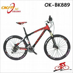 Giant carbon mountain bike stradalli