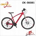 High quality mountain bike carbon fiber bicycle frames 