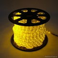 2 wire led rope light 1