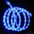 2 wire led rope light 3