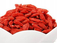 Dried  goji berry