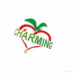 CHARMING INDUSTRIAL TRADE CO.,LIMITED