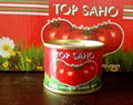 70gr canned tomato paste 28-30brix