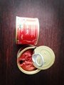 70gr canned tomato paste 28-30brix 3