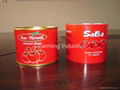 210gr*48 tins tomato paste with high