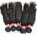 Malaysian Curly  Virgin Hair