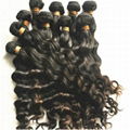 Malaysian Deep Wave Virgin Hair