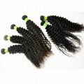 Brazilian Curly  Virgin Hair