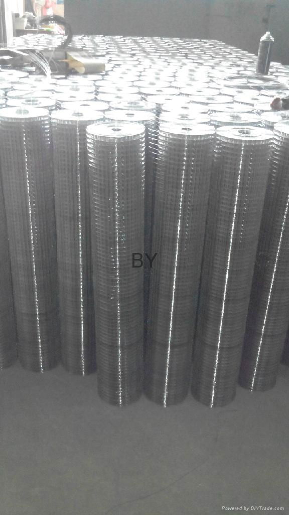 welded wire mesh 4