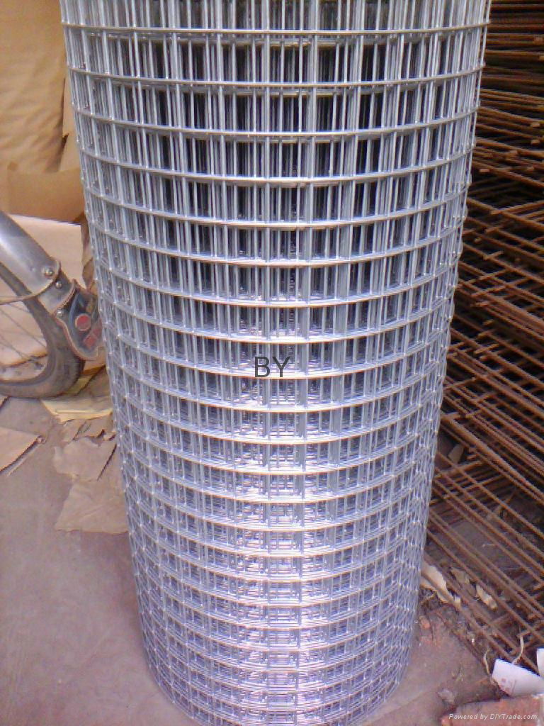 welded wire mesh 5