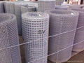 square wire mesh