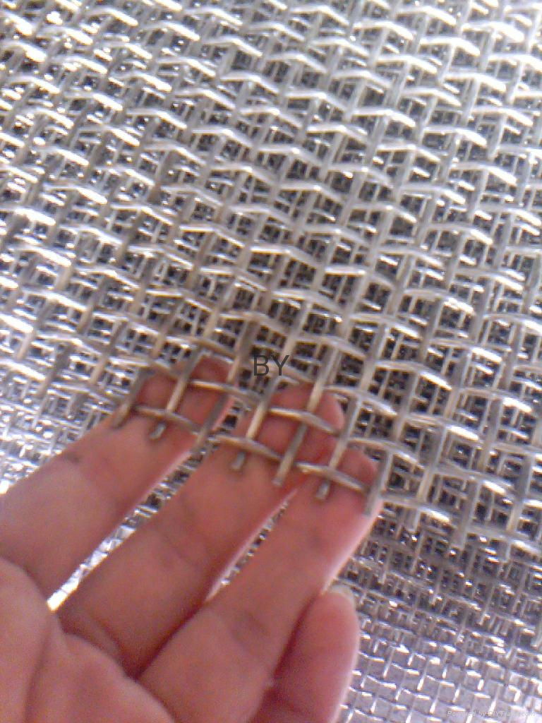 square wire mesh 4