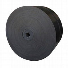 Nylon Conveyor Belts