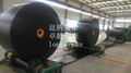 Cold Resistant Conveyor Belts 2