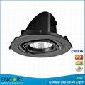 2014 New Design Best seller 30W CREE COB LED Downlight 1