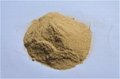 yeast powder 45% 2